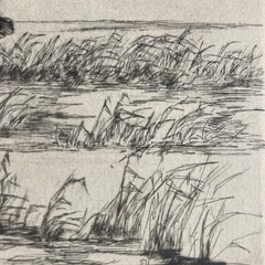 Vintage Original Plein Air Etching Mallard Ducks Dropping In Landscape Signed