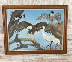 Vintage James Kukrul Wildlife Lithograph Signed Framed Eagle Falcon Crane Art