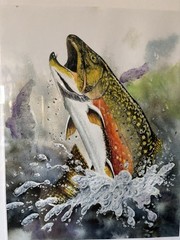 Brook trout Fly Fishing Watercolor Print Art Signed Artiist FLY FISHING