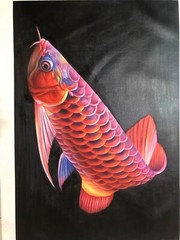 Handpainted Oil Paintings Chinese Fengshui lucky Red Koi carp No Framed 24*36