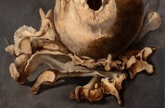 Dutch Old Master Still Life Of A Skull Memento Mori – Pieter Claesz (1597-1660)