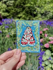 ACEO original Golden Tiger Moth Painting