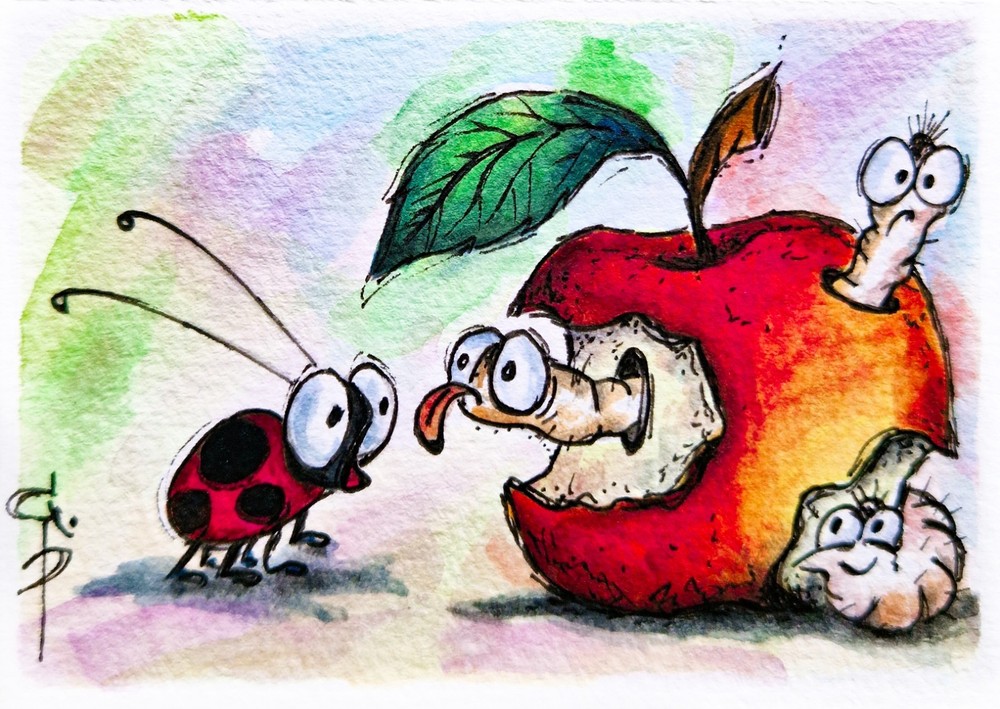 ACEO Ladybug painting Insects Apple Funny Watercolor Original Art