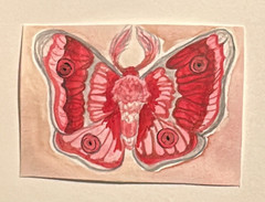 OOAK ACEO Original Art Card Moth pink red pretty illustration
