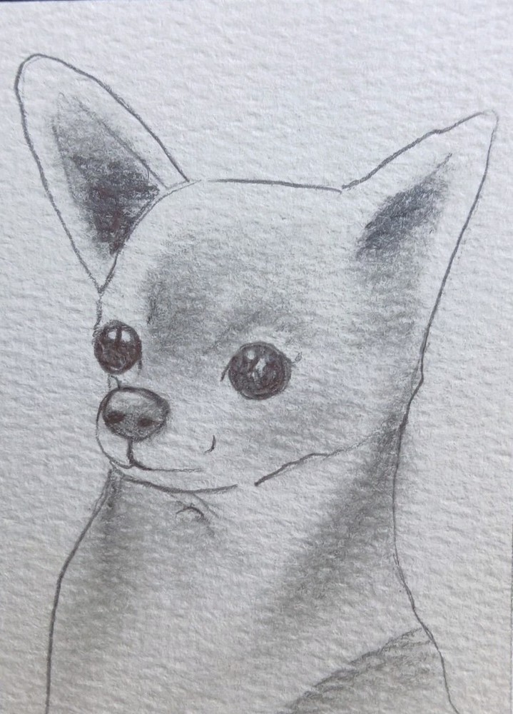 Aceo Pencil Sketch