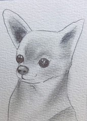 Aceo Pencil Sketch
