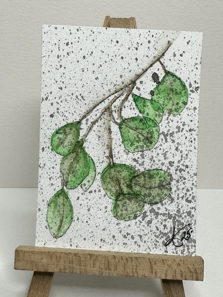 ACEO Artist Card Hand Painted Original Acrylic 2.5 in x 3.5 “ Eucalyptus Stem”