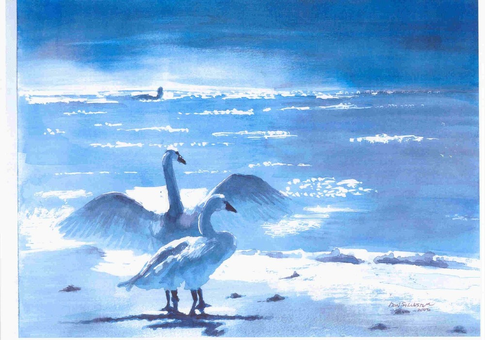Swans At Twilight, Beautiful Swans, White Swans Art, Swan Wall Decor, Swan Art