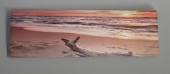 Sunset & Driftwood Beach Canvas Art 16” x 34” x 1” Rectangle By Highland Dunes