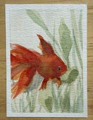 ACEO Original Art Card Watercolor Painting Goldfish Fish OOAK 2.5 x 3.5