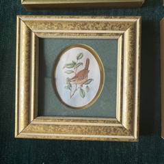 VTG Set 4 Miniature Art print Paintings flowers Gallery Cottage framed bird mini