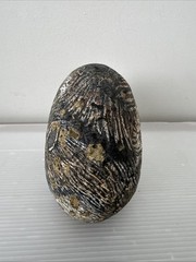Squirrel Painted Rock Art Decor Paperweight Artist Signed