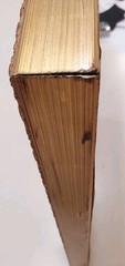 1871 William Longmire (1841-1914) Plexiglas/COA/Signed/Dated Original WC 21×25.5