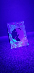 Pastel Rainbow Yin-Yang Cat Painting UV Blacklight Reactive Paint Art