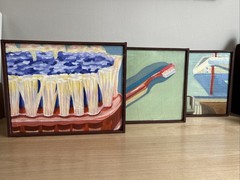 Original Oil Paintings On Canvas Rough Framed Signed On Back Toothbrush Serie 3