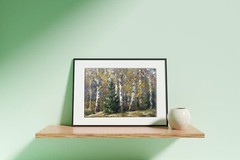 Oil Painting Birch Grove B. Serdyuk Unframed Original Home Decor Art nAAA3191