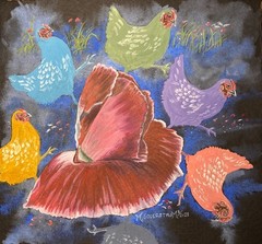 Chicken Fun Run watercolor of chickens on black wc paper. Framed original.