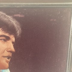 ELVIS PRESLEY VELVET PAINTING 20 x 24 Vintage Painting
