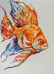 Gold Fish Pet art,original Watercolor painting,nature Lover Unique gift 4 x3.5″