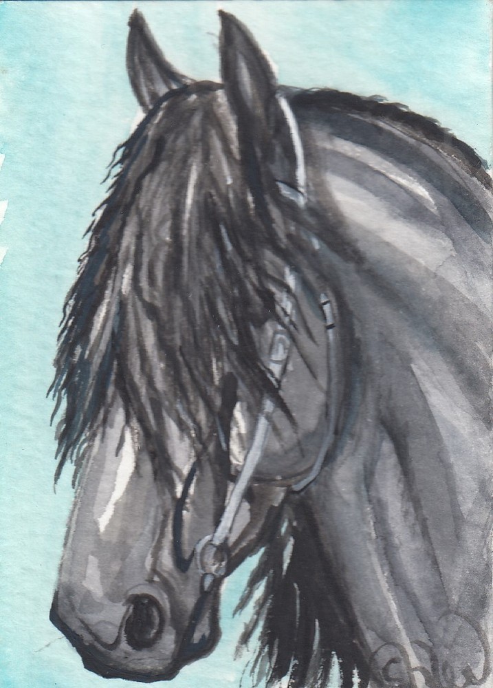 ACEO original Watercolor Art Card HORSE Regal black Friesian wavy forelock stud