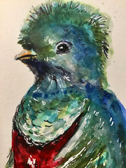 Quetzal Bird – Original Watercolor Painting A5 Handmade Artwork on Professional-