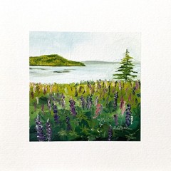 8×8 Maine Original Oil Painting Lupine Flowers Landscape Coastal Atlantic Signed