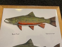 Jeff Currier 2004 2005 Ceramic Tile Framed Trout Fish Art Fly Fishing RARE