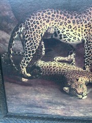 Two Leopards Playing Jacques-Laurent Agasse Lying In Exeter Reproduction 24 x 30