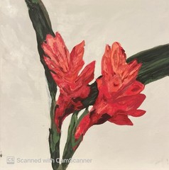 BLESSED#1233 Hawaiian Ginger 12×12 Canvas Original Acrylic Painting