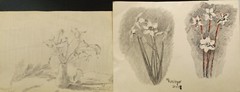 2 Zeichnungen “ Blumen Studien „Kohle/Blei/Tusche sign./dat. M.Hunsinger 45/48