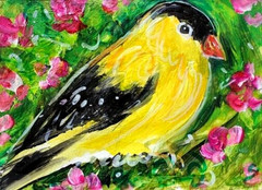 ORIGINAL ACEO PAINTING American GOLDFINCH Yellow BIRD Spring Flower Nature ART