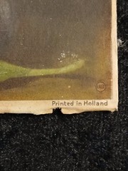 Holland Tulip Painting Raised Art Signed Pair Vintage Read Description