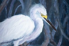 Stunning Florida Oil Painting of Egret Among the Mangroves Trees Signed 14×11″