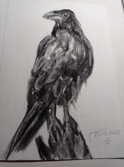 Original Painting Black raven Drawing Wall Art 6 x 8″