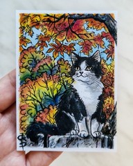 ACEO Custom painting from photo Pet portrait Watercolor Cat Dog Commission art