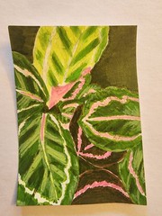 ACEO Original Abstract Acrylic Painting of a Leafy House Plant by Kiva