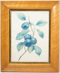 Stunning Antique French Botanical Painting of Fruiting Plum Tree, Janis Aldridge