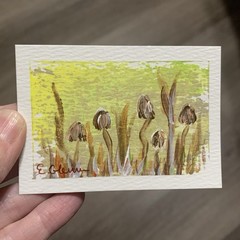 ACEO Impressionism Forest Mushrooms Acrylic Original Painting Artist Card