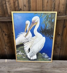 WHITE PELICAN PAINTING ART PELICANS REALISM BIRD TROPICAL BY THOMAS J. QUINN