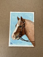 ACEO Art Card Original Oil Painting Roan Shetland Pony Portrait Series Western