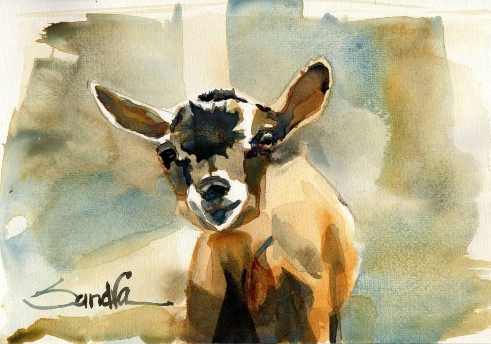 Goat : Sandra Watercolors™ California : ORIGINAL PAINTING