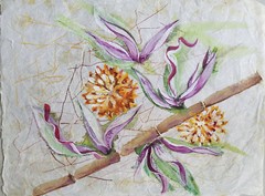 Painter Suzanne Obrand, Holocaust Survivor, Painting „Watercolor on Silk #1“