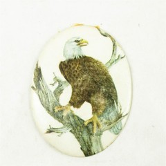 Oval Bald Eagle Painting Small Nature Art 5.5×4