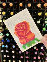 aceo original painting, rose, colored pencil, 2.5 x 3.5, series, keris creation