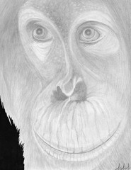 Orangutan Wonder, an original 12″h x 9″ watercolor painting by inmate artist 444