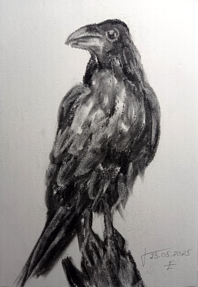 Original Painting Black raven Drawing Wall Art 6 x 8″