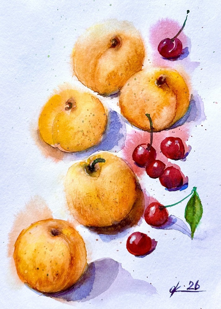 Original Watercolor Apricots & Cherries Painting Fruit Still Life Art 9×12 Inch