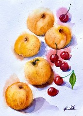 Original Watercolor Apricots & Cherries Painting Fruit Still Life Art 9×12 Inch