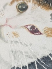 Original Watercolor Cat Painting Portrait Professionally Framed Signed by Artist