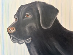 Original oil painting 11 x 14 inches handsome black Labrador retriever dog